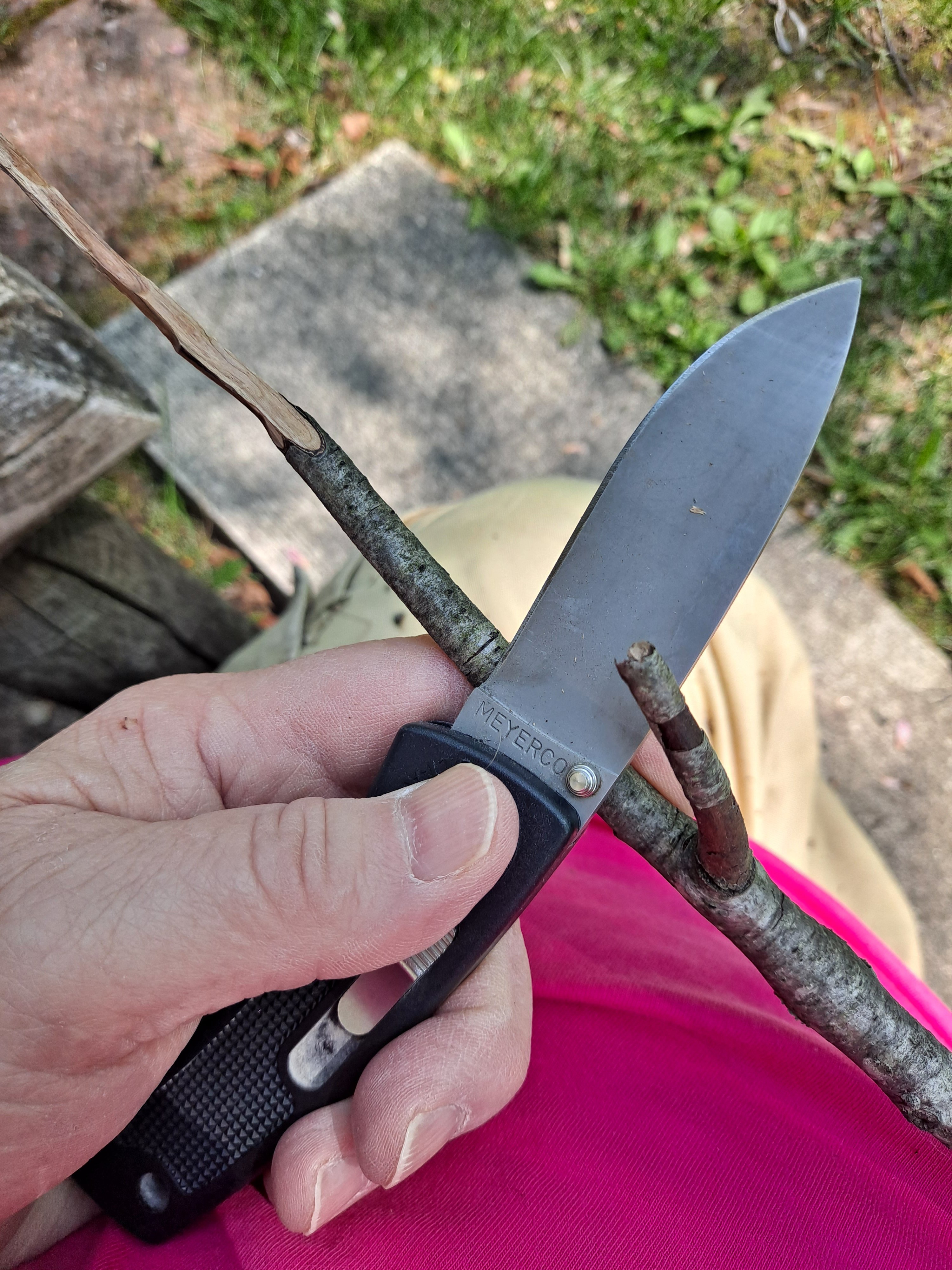 Holiday weekend with grandkids edc knife. | The Armory Life Forum