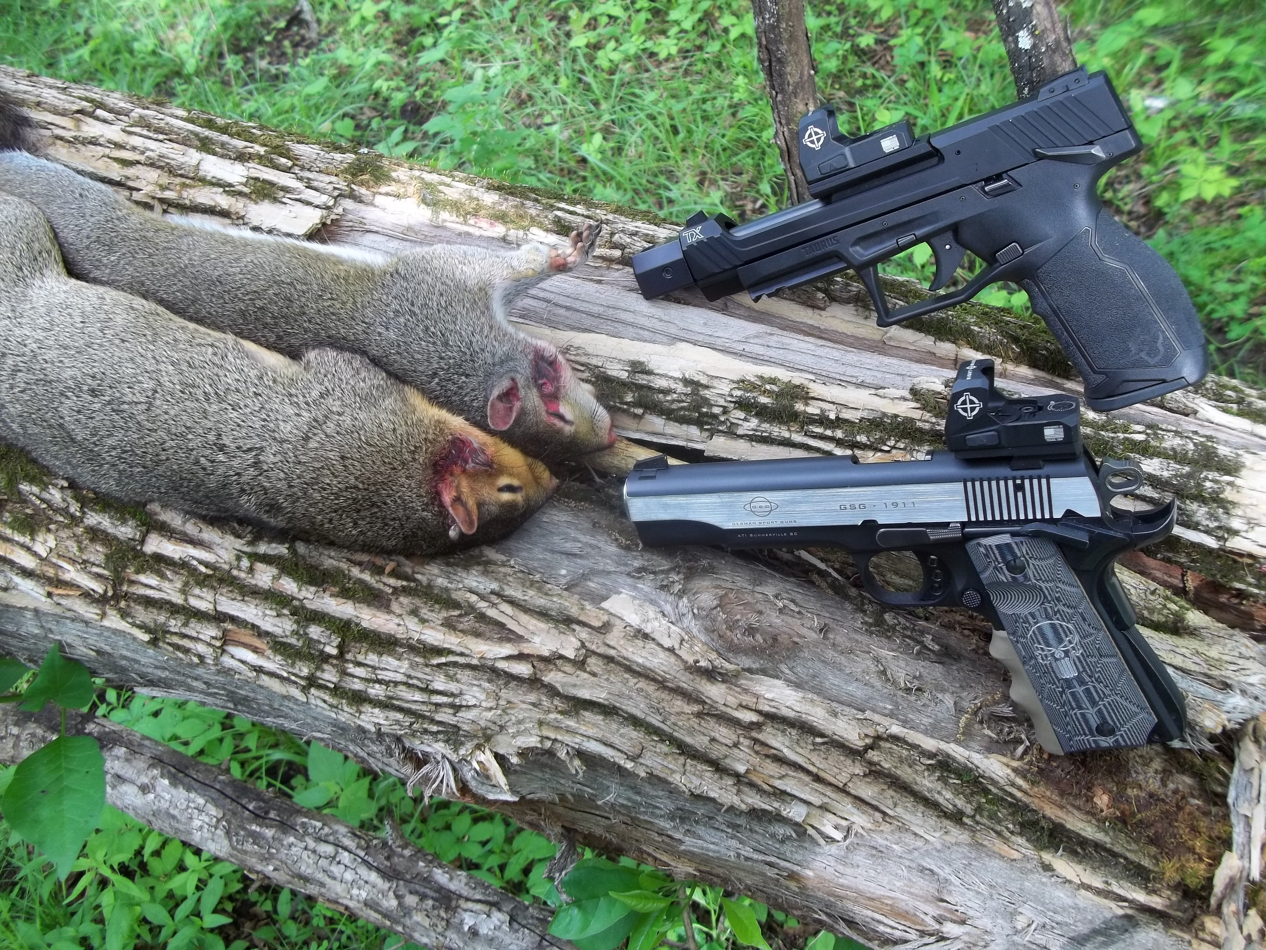 squirrel with pistol