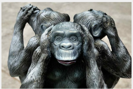 3 wise monkeys.PNG