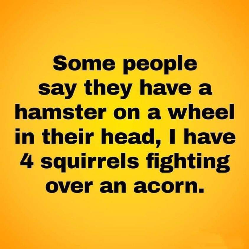 4squirrels.jpg