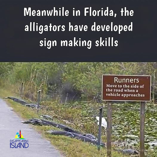 alligatorsigns.jpg