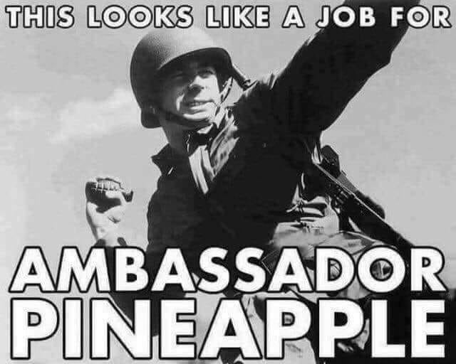 Ambassador Pineapple - grenade.jpg