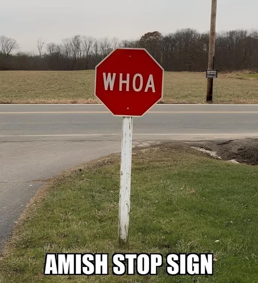 amishstopsign.jpg