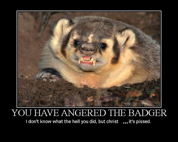 Angered the badger its pissed.png