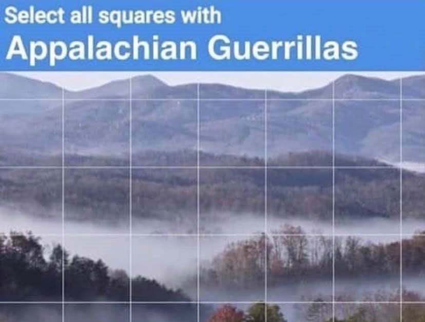 Appalachian Guerrillas.jpg