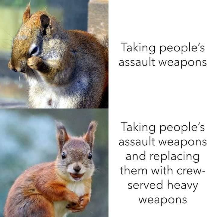 Assault Weapon Squirrel.jpg