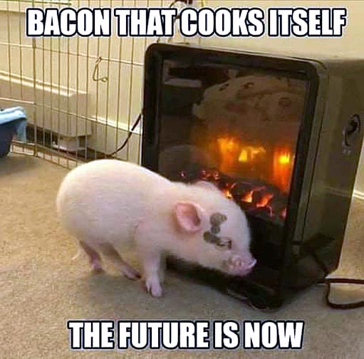 bacon cook.jpgblue.jpg