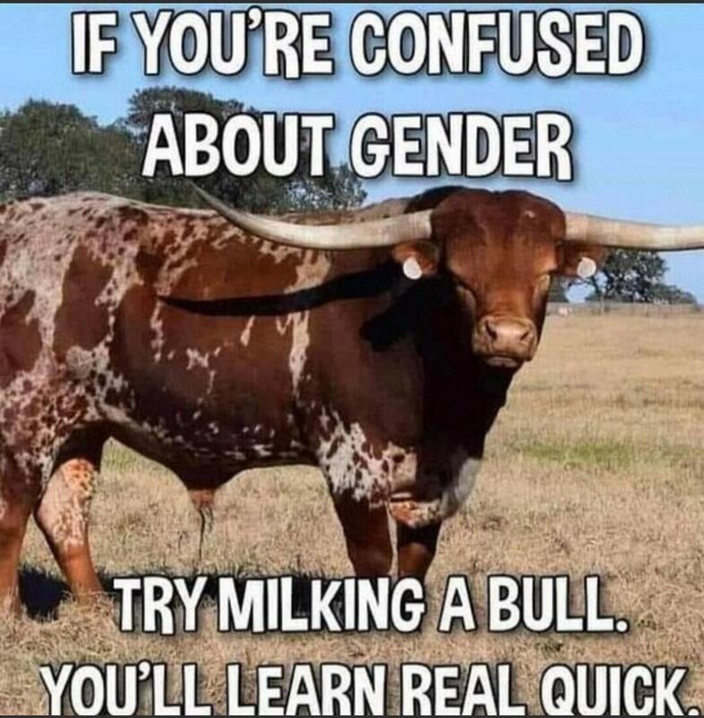 bullmilking.jpg