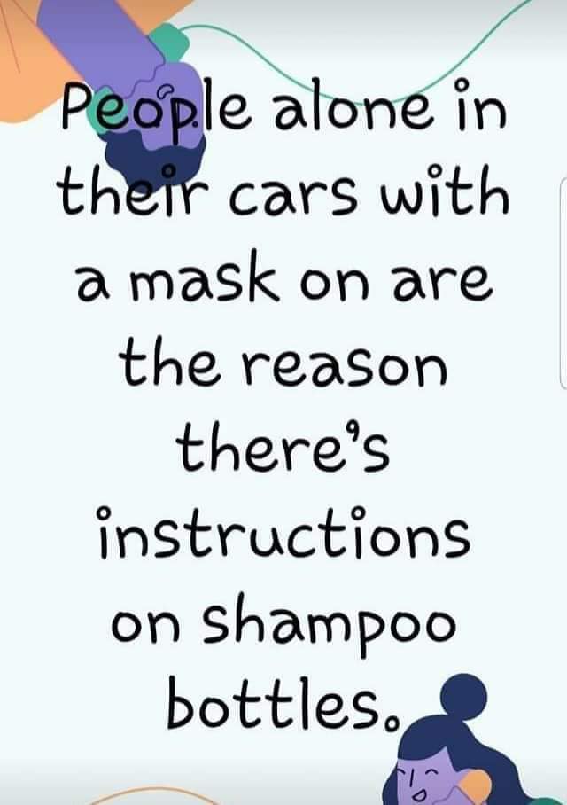 car mask.jpg