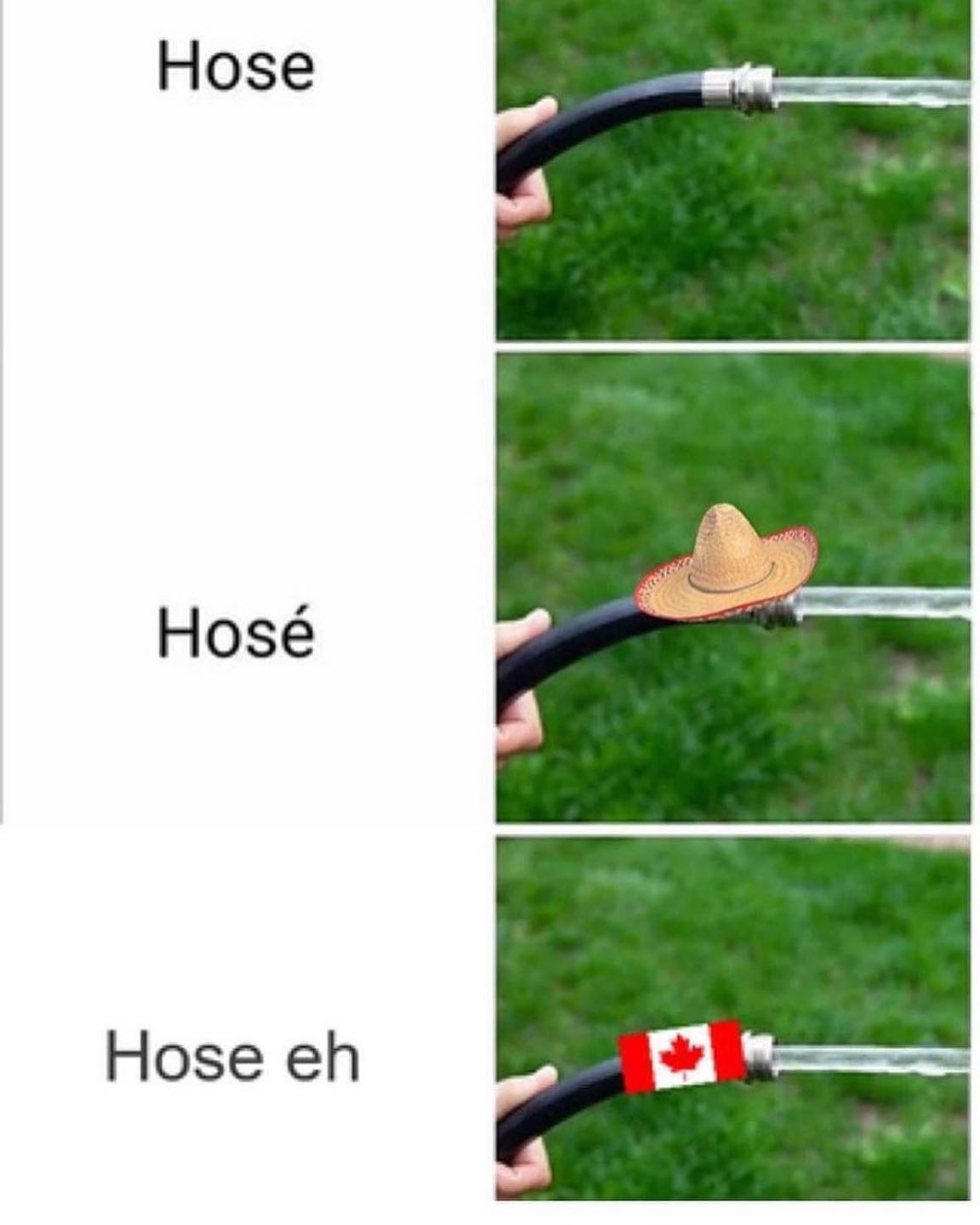 CDN24.jpeg