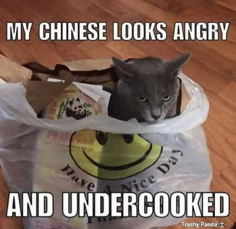 chinesecat.jpg