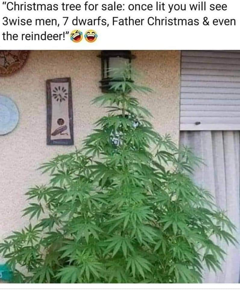 Christmas weed.jpg