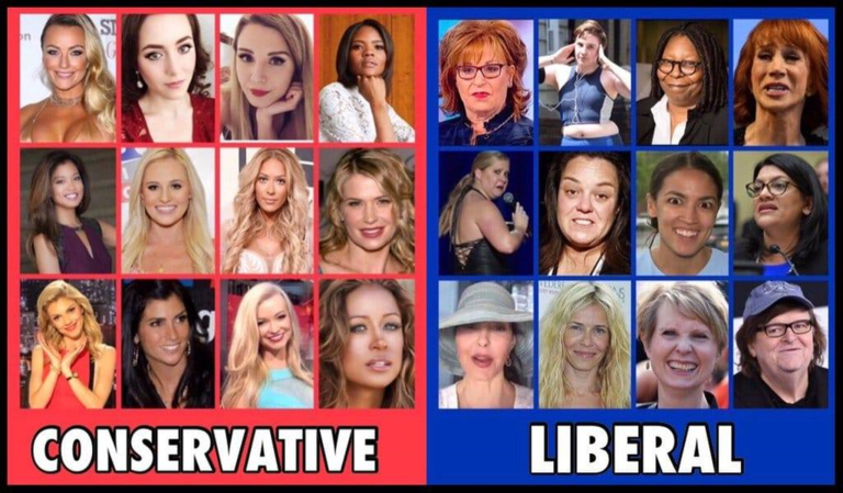 Conservative vs Liberal Women.png