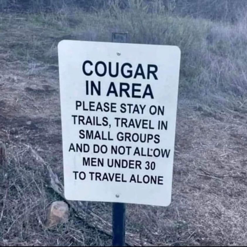 cougar.jpg