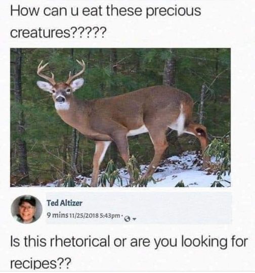 Deer.jpg