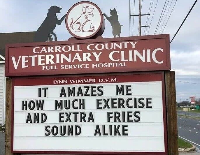 extra fries.jpegblue.jpeg