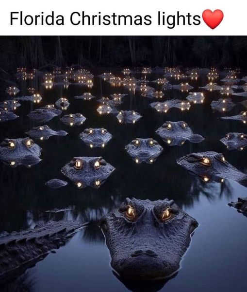 floridachristmaslights.jpg