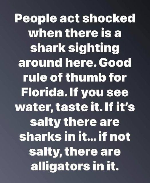 floridasharks.jpg