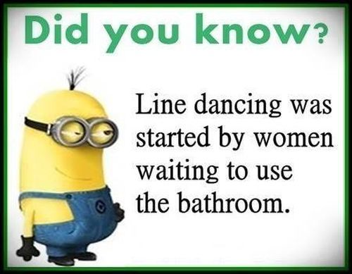 Funny-Minion-Quotes-379 sw.jpg