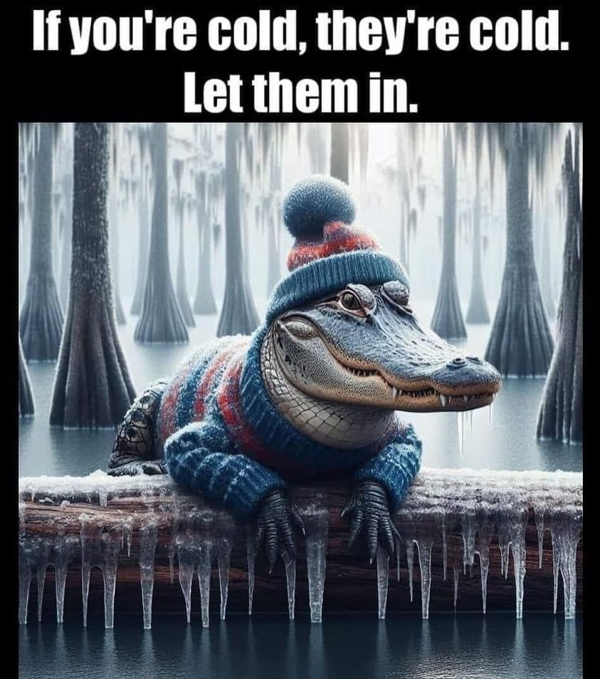 gatorcold.jpg