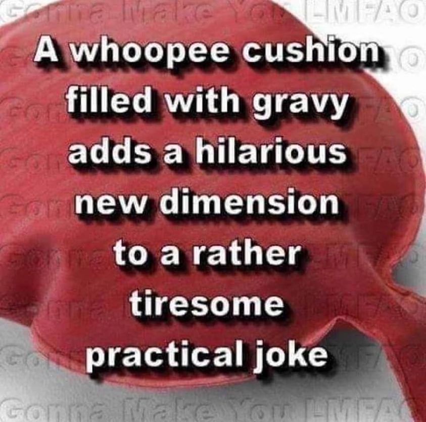 gravycushion.jpg