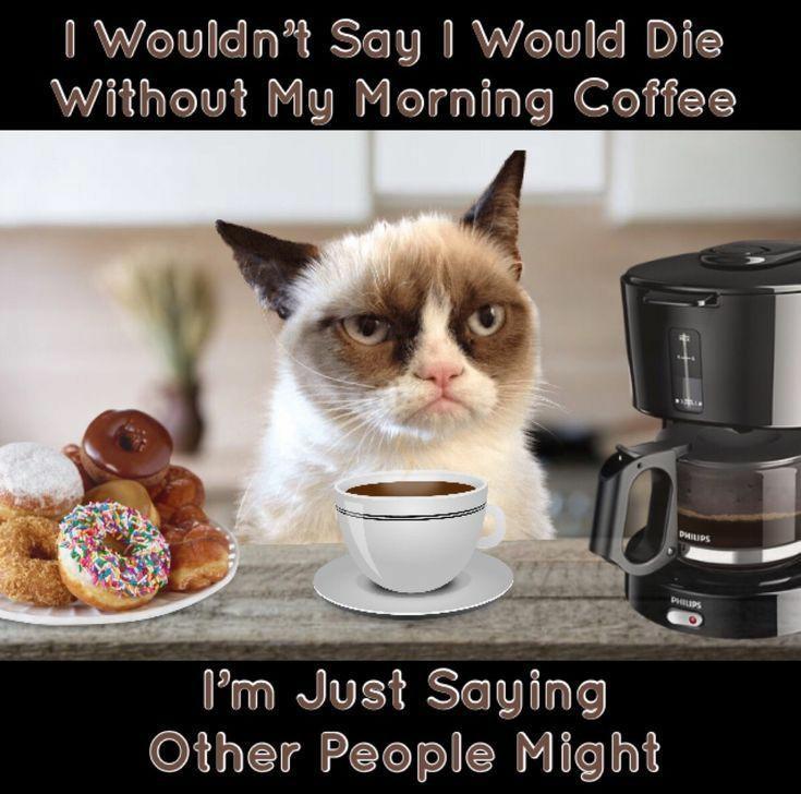 Grumpy Cat Coffee.jpg