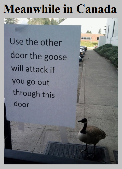 Guard Goose.png