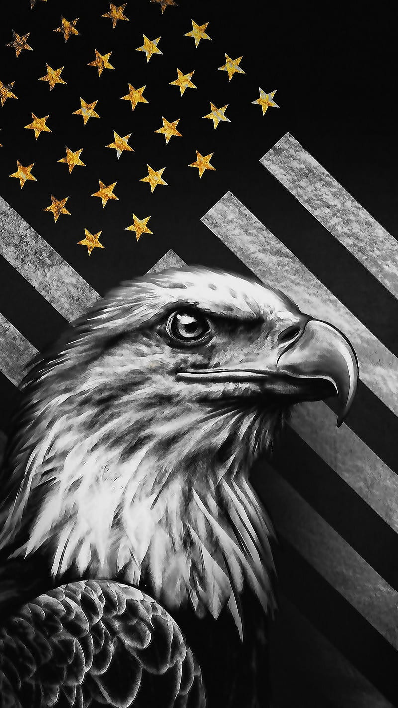 HD-wallpaper-usa-b-and-white-bird-black-and-white-eagle-flag-gold-stars-usa-flag.jpg