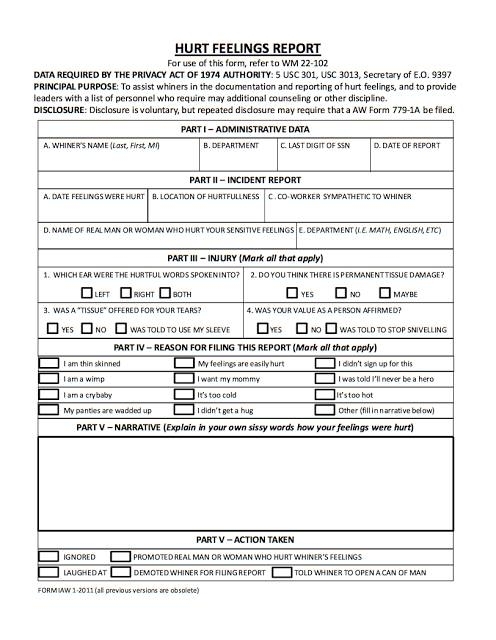 Hurt Feelings Report form.jpeg