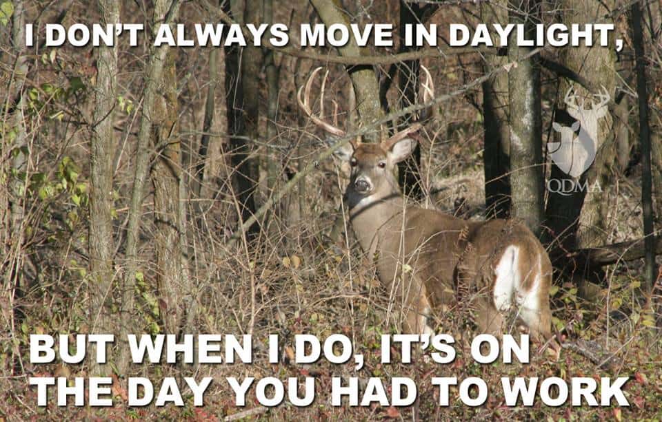 i-dont-always-move-in-daylight-deer-hunting-meme.jpg