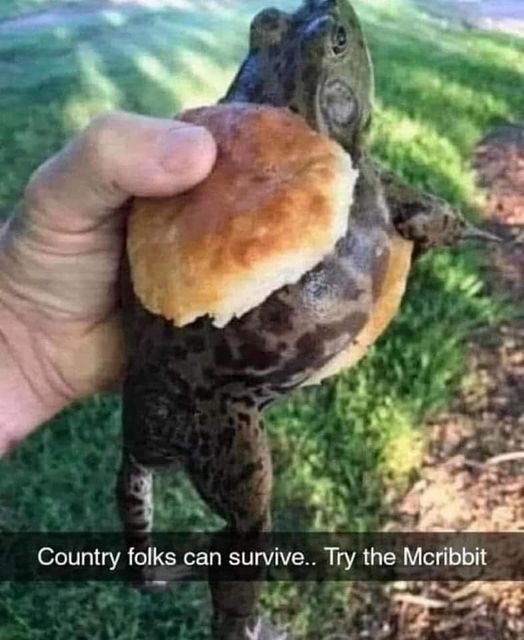 McRibbit.jpg