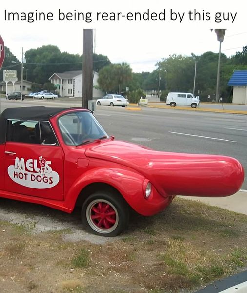 melshotdogcar.jpg