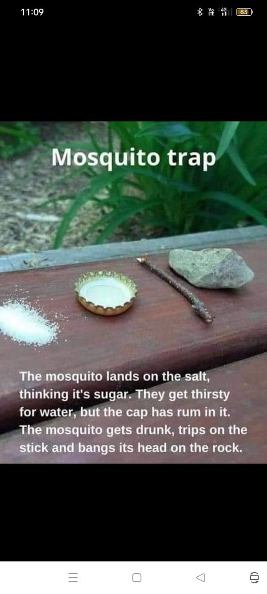 mosquitotrap.jpg