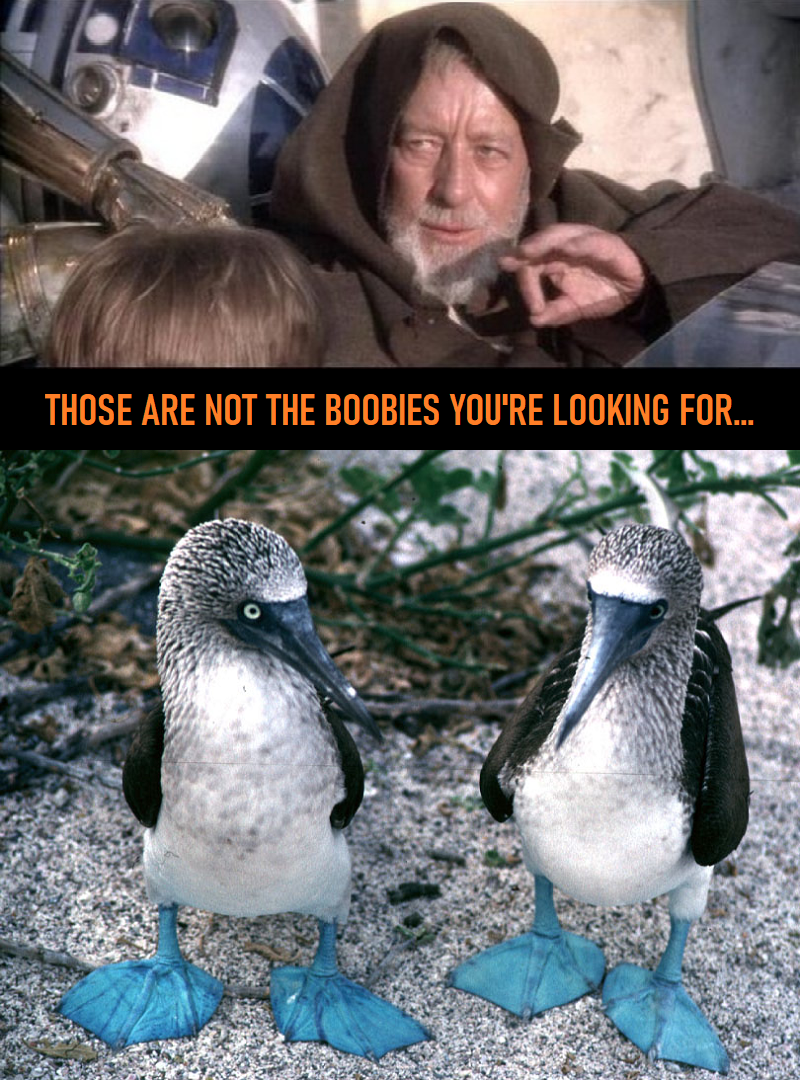 Obi-Wan Kenobi Mind Trick - Boobies.png