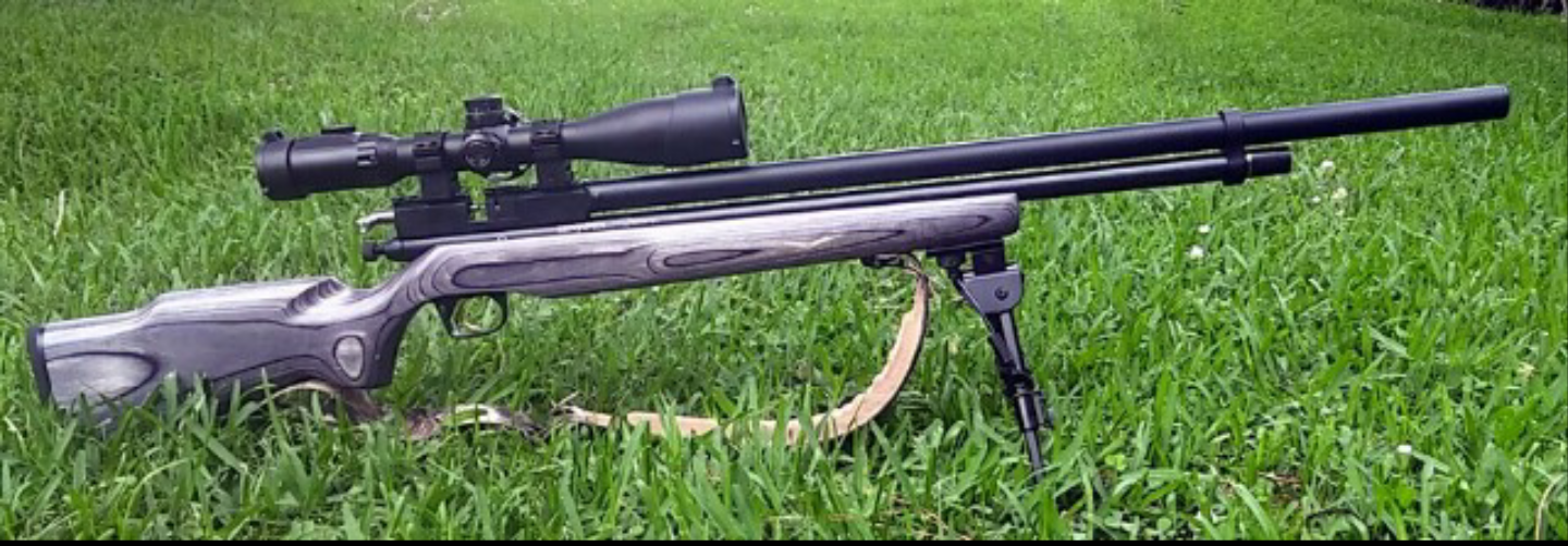 PCP air rifle.png