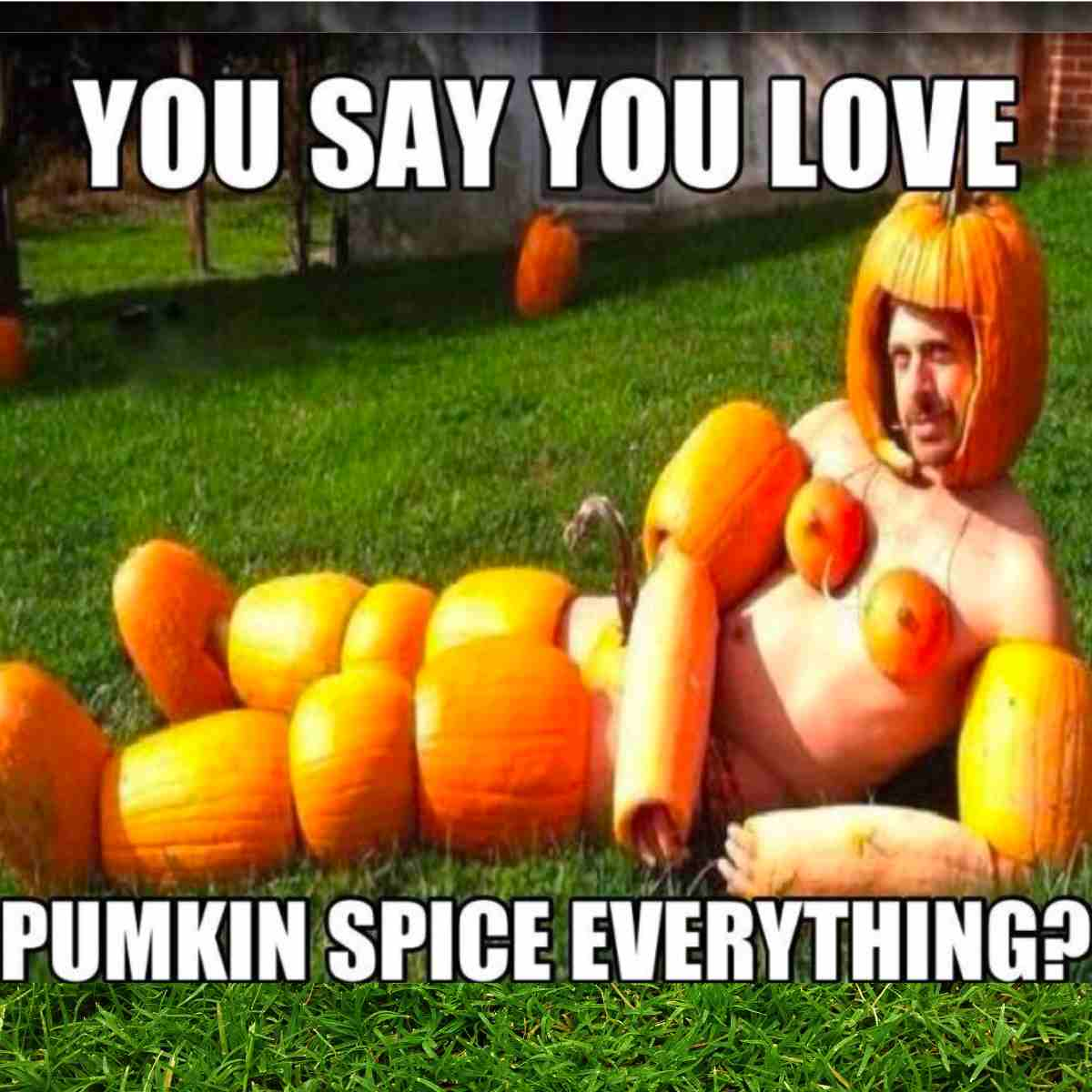 pumkin-meme.jpeg