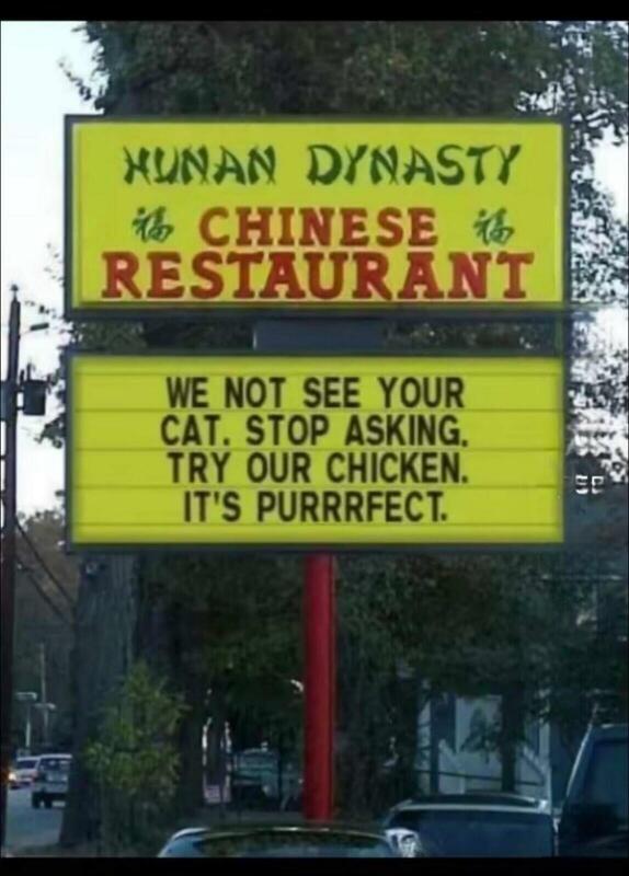 purrfect.jpg