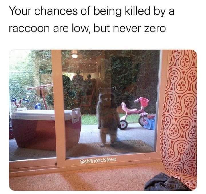 racoonkiller.jpg