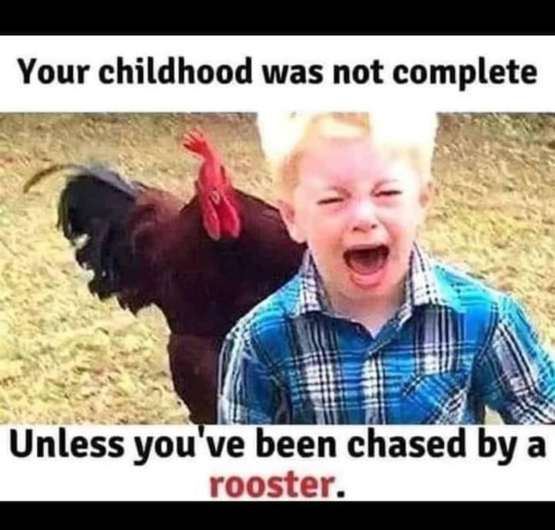 Rooster.jpgblue.jpg