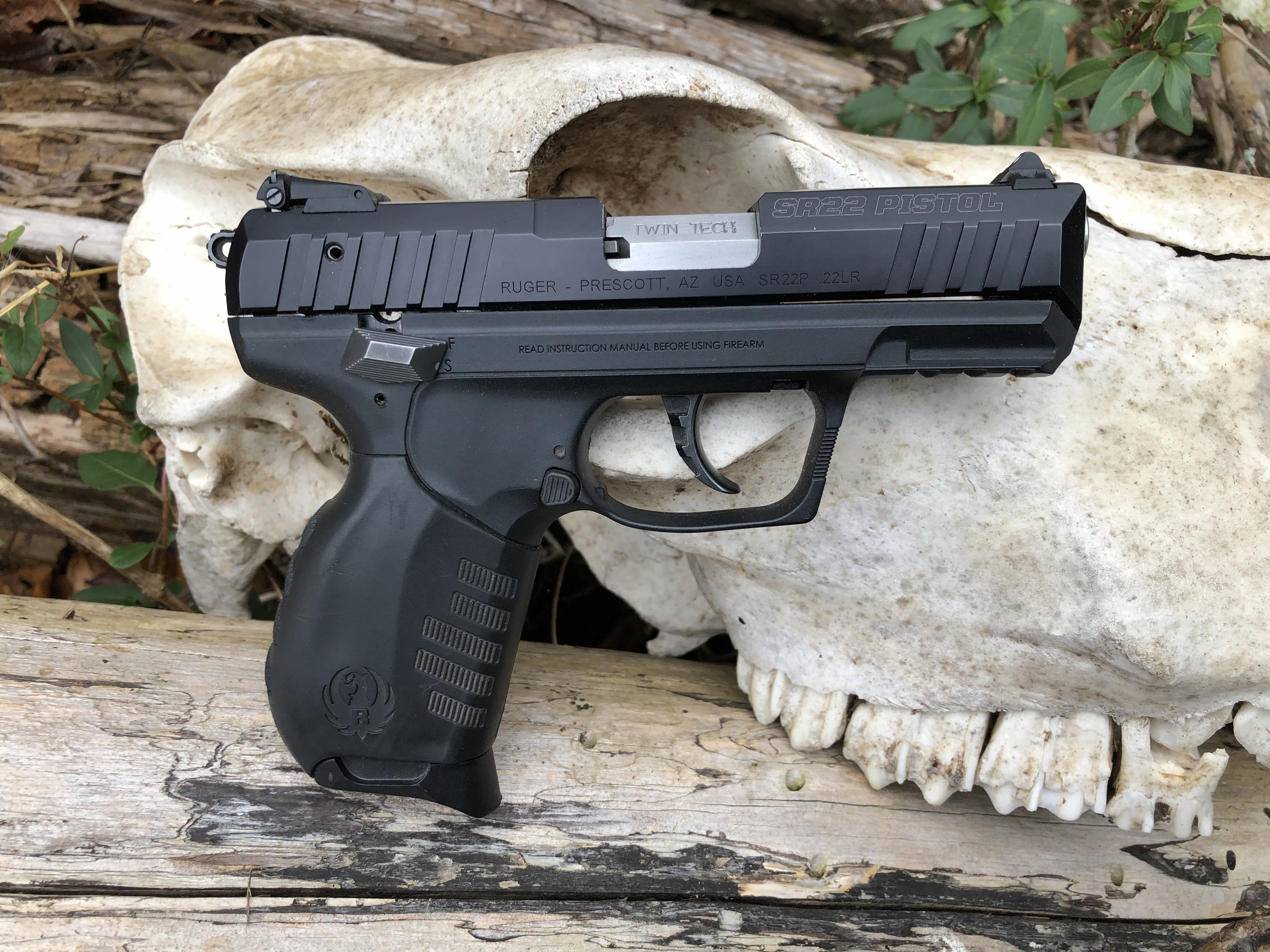 Ruger SR22 11.jpg