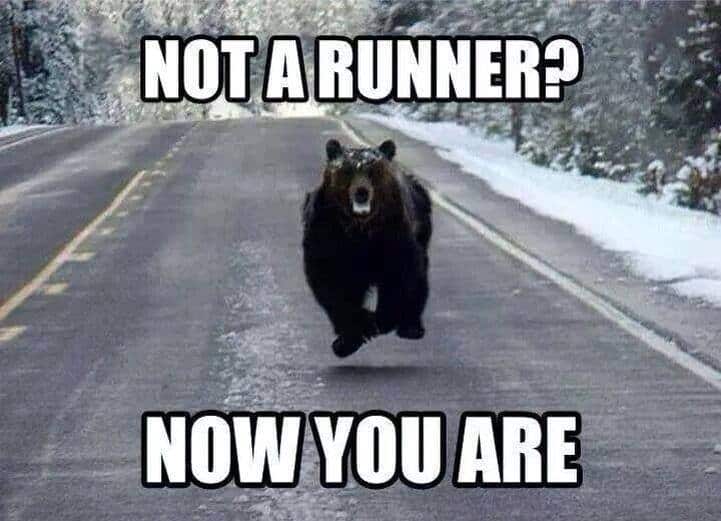 runner.jpg