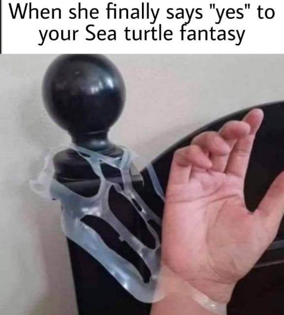 sea turtle fantasy.png