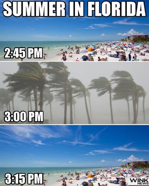 summerinflorida.jpg