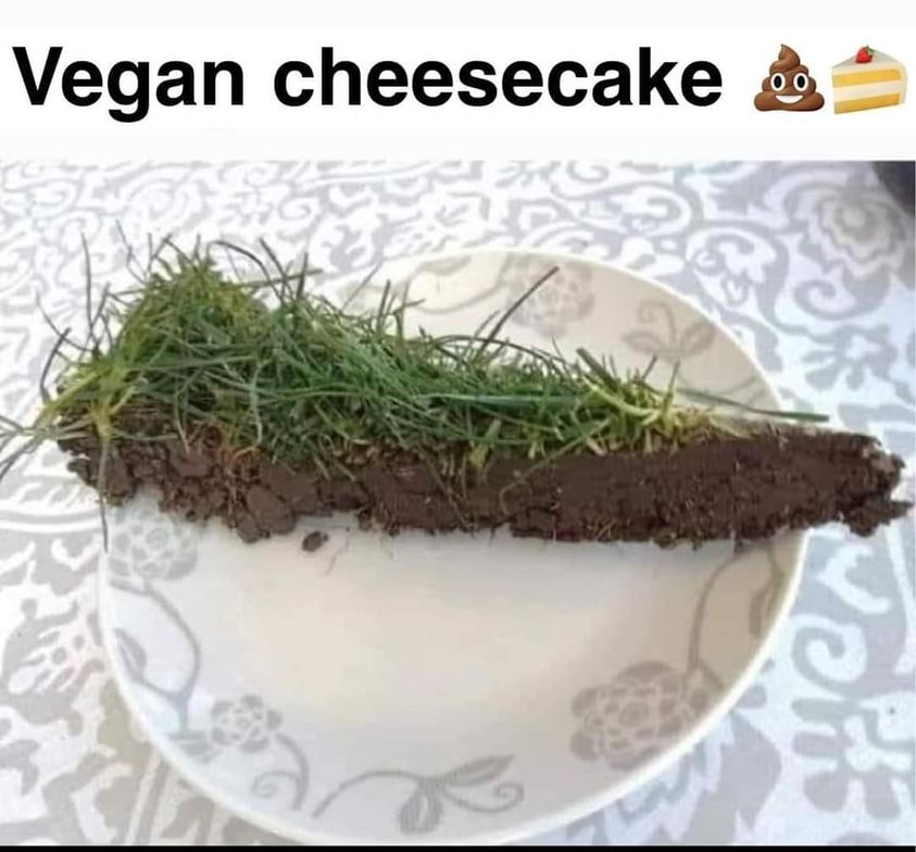 vegan cheesecake.jpg