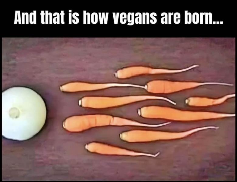 Vegan.jpg