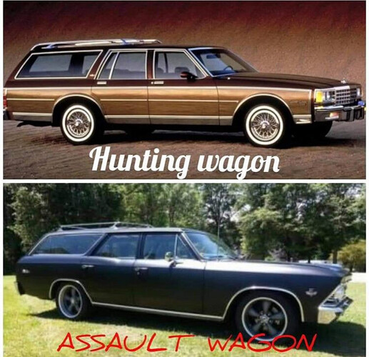 wagons.jpg