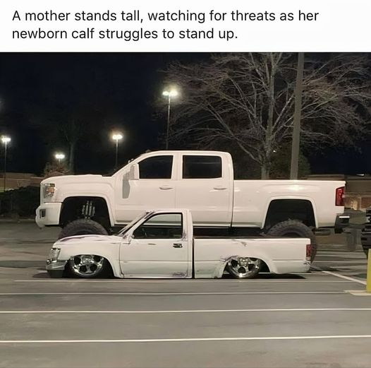 wannabetruck.jpg