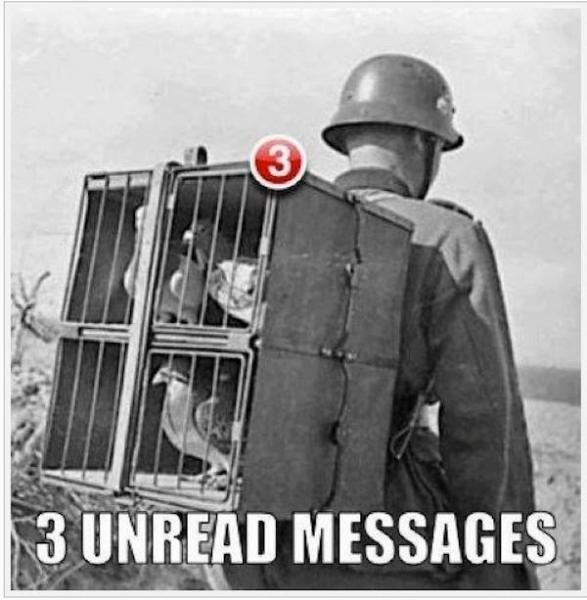 war-pigeon-post-unread-messages-1152303680.jpg