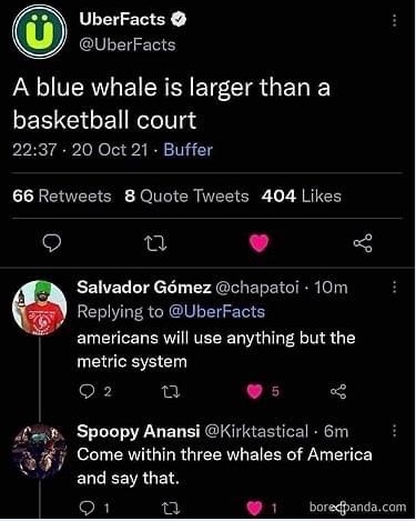 whales.jpg