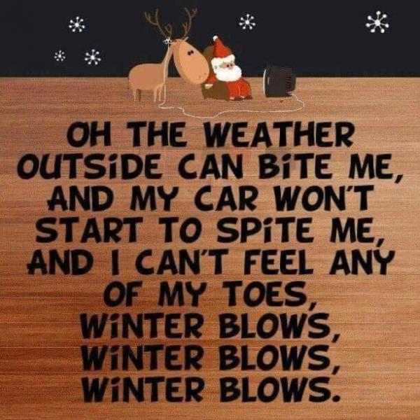 winter blows (used).jpg